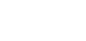 Annual Multimedia Award Silver for Siemens Explorer
