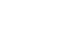Comenia EduMedia Medaille for Blue Brain Club